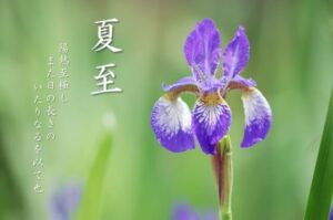 二十四節気_夏至