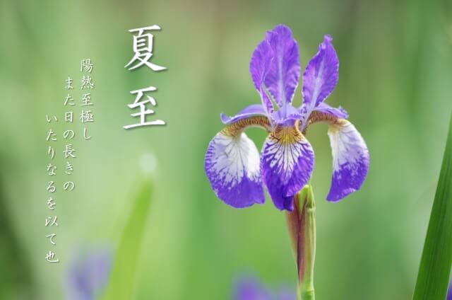 二十四節気_夏至