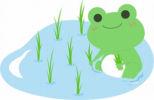 田植え