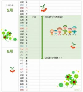 2025年の小満が一目でわかるカレンダー