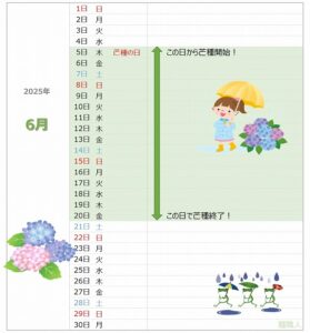 芒種が一目でわかる2025年カレンダー