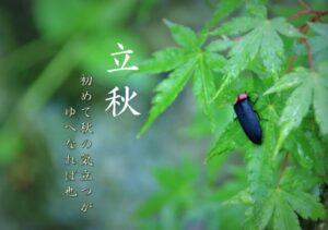 立秋