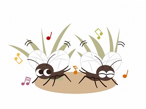 こおろぎ