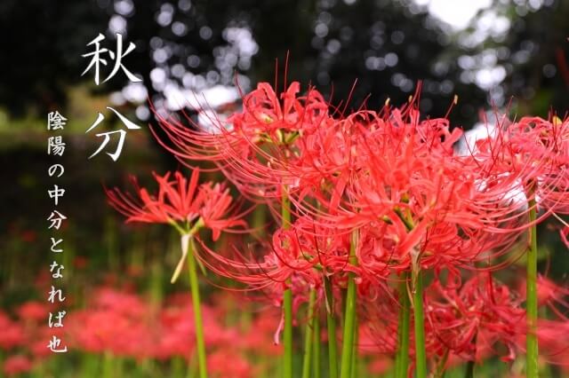 秋分