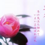 立冬