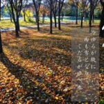 二十四節気小雪