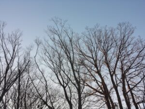 大雪冬空