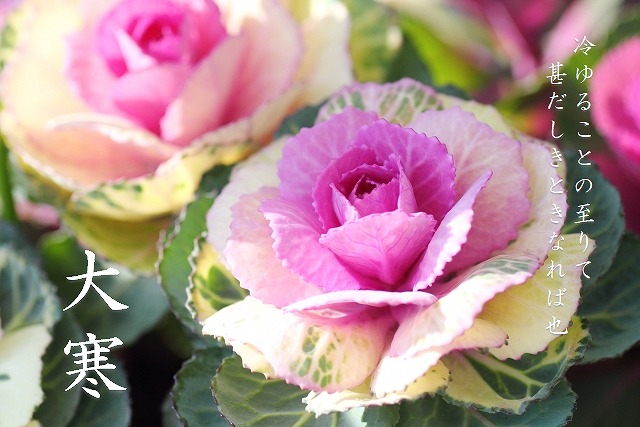 二十四節気大寒top